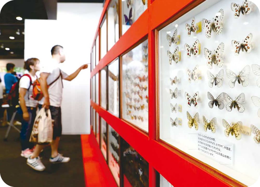 大昆虫展 in 東京スカイツリータウン 知ってビックリ！昆虫のすごい世界