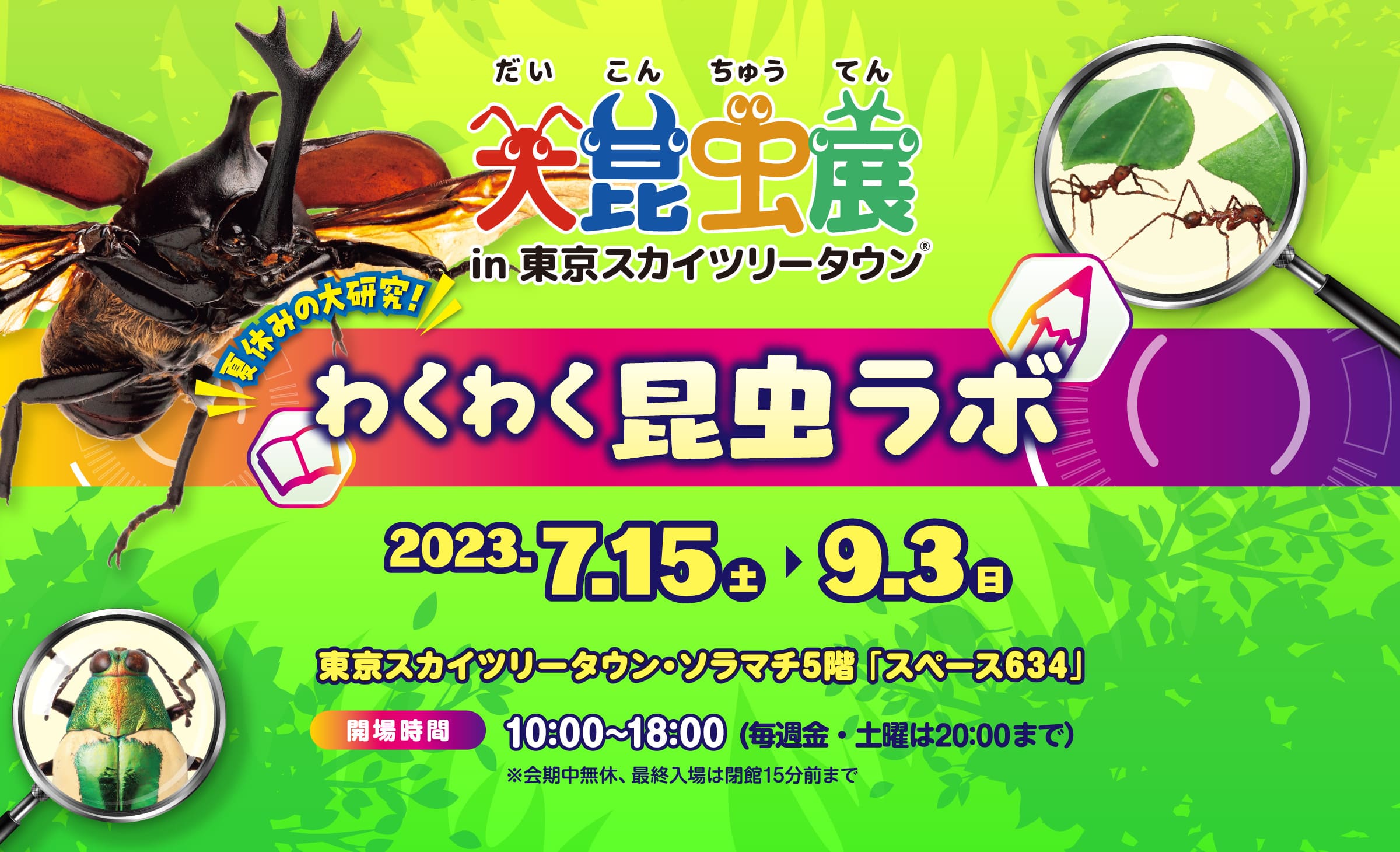 大昆虫展 in 東京スカイツリータウン 夏休みの大研究！わくわく昆虫ラボ